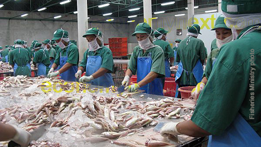 Sri Lanka seafood exports swimming against Coronavirus tide to keep ...