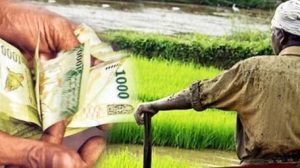 Sri Lanka has enough seed paddy to re-cultivate cyclone damaged fields