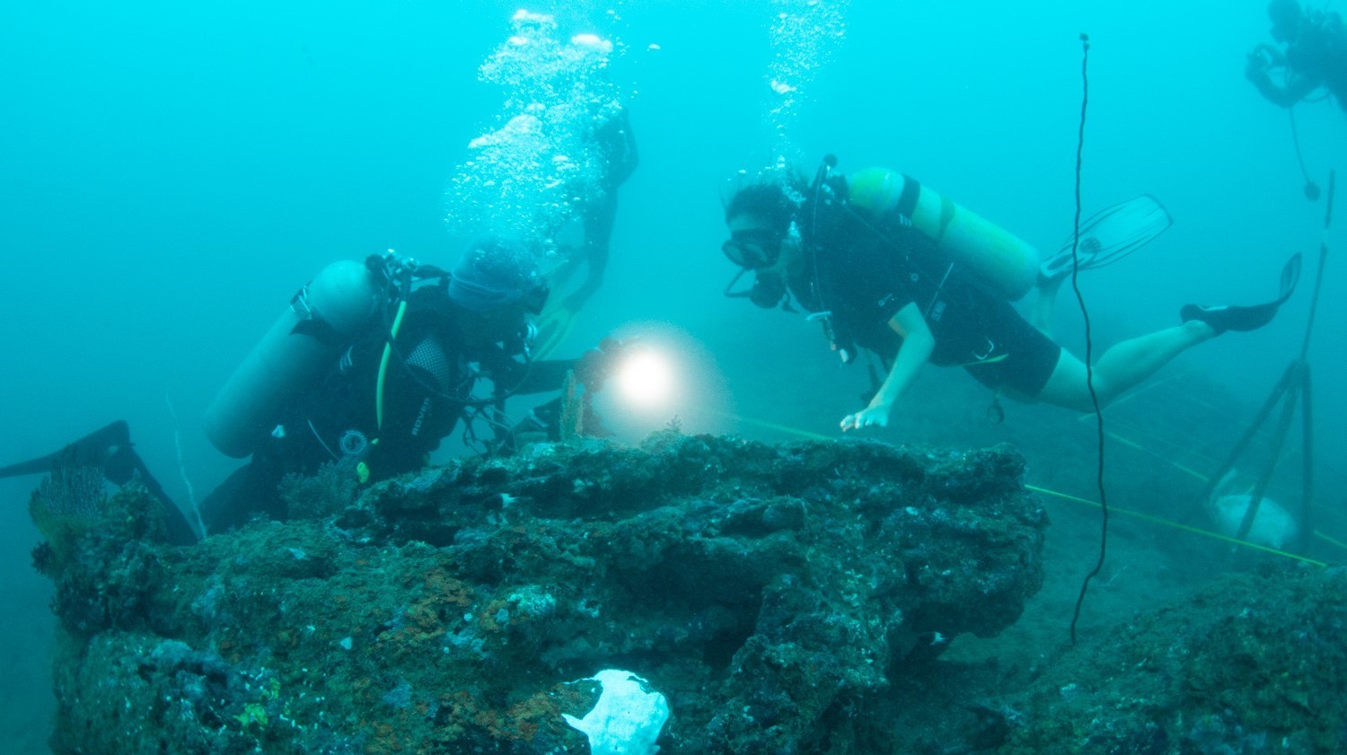 Sri Lanka shipwreck artifacts to be displayed at US-funded exhibit