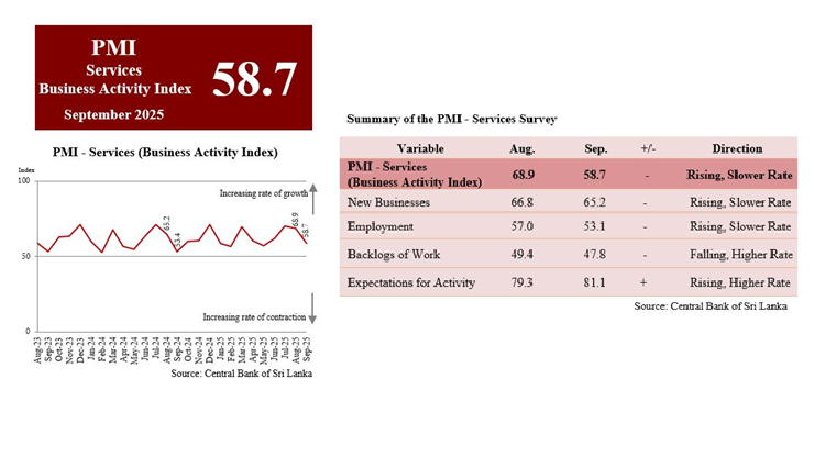 Sri Lanka services expand at slower rate in September: PMI