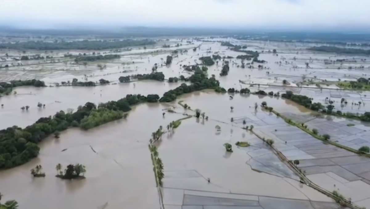 Sri Lanka cyclone deaths rise to 212, roads, rail damaged, crops under water