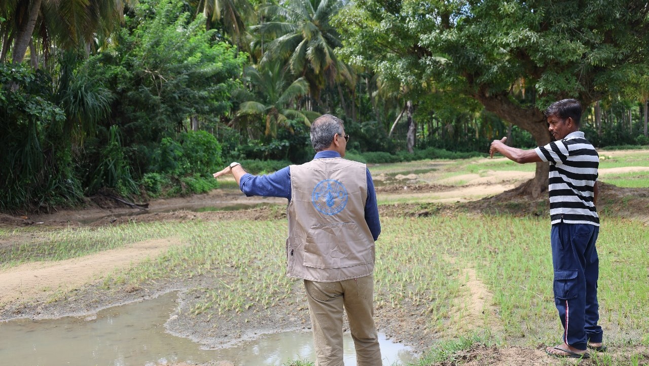 FAO ready to work with Sri Lanka government, agencies on disaster aid