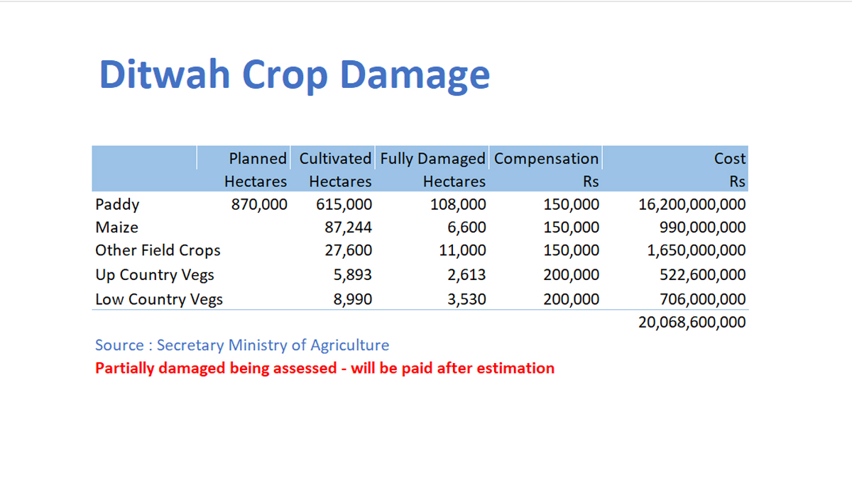 Ditwah destroys 108,000 ha of paddy in Sri Lanka, 23,000 ha of other crops