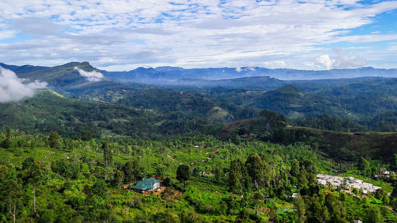 Sri Lanka Cabinet approves releasing estate lands, properties for investment